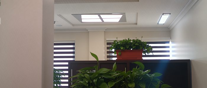 IMAG_0070_imgupscaler.ai_v1(Fast)_2K