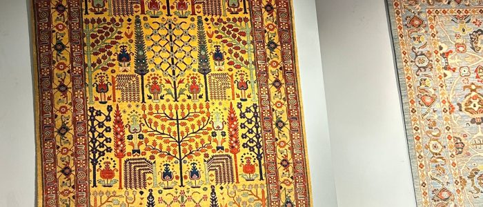 photo_2025-09-29_15-55-09