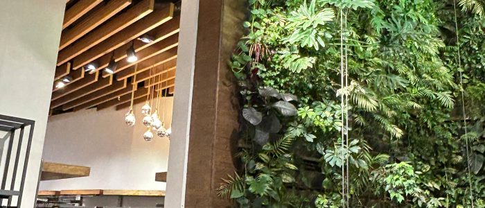 photo_2025-09-29_15-57-01